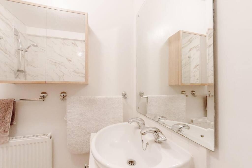 Spacious Two Double Bedroom Flat ロンドン エクステリア 写真